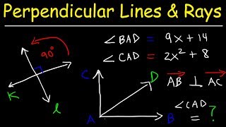 Perpendicular Lines Slope Rays and Segments  Geometry [upl. by Kosiur]