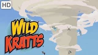 Wild Kratts  Tornadoes and Thorns A Prairie Adventure [upl. by Haronid]