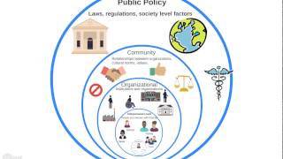 Intro to the Ecological Model [upl. by Aynotal]