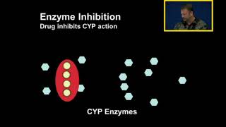 Biotransformation Enzyme Inhibition and Induction [upl. by Skrap960]