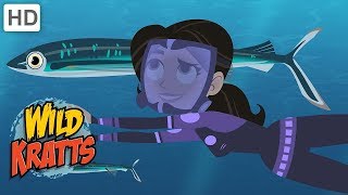 Wild Kratts  Swimming With Monster Sea Creatures [upl. by Haley]