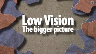 Low vision the bigger picture [upl. by Yekciv]