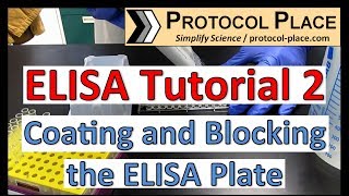 ELISA Tutorial 2 Coating and Blocking the ELISA Plate [upl. by Akirdnas]