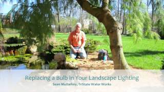 Replacing a Bulb in Your Landscape Lighting [upl. by Dempsey]