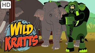 Wild Kratts 🐘 Elephant Creature Powers  Kids Videos [upl. by Monie391]