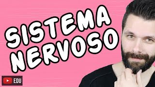 SISTEMA NERVOSO  FISIOLOGIA  Aula  Biologia com Samuel Cunha [upl. by Quiteris866]