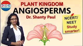 Angiosperms  Plant kingdom [upl. by Dazhahs]