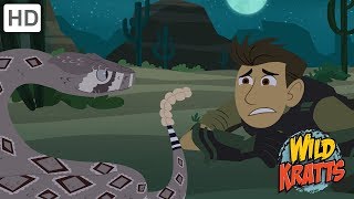 Wild Kratts  The Wildlife Adventure  Kids Videos [upl. by Nezam]