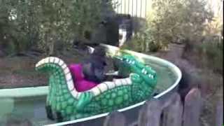 Crocodile Creek  Water Ride  Weymouth Sealife Adventure ParkCentre  2014 [upl. by Muslim]