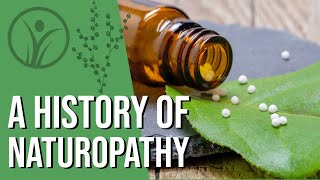 What is Naturopathy  History explained [upl. by Penthea]