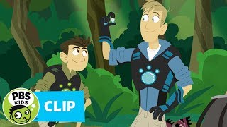 WILD KRATTS  Rainforest Adventure  PBS KIDS [upl. by Alli]