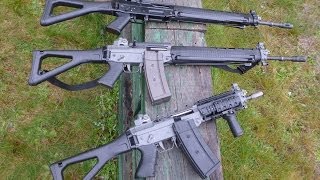 BANNED in the USA and Canada Swiss Arms rifles The real Sig 556s [upl. by Pasahow761]