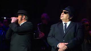 Gimme Some Lovin  Official Blues Brothers™Revue [upl. by Socher]