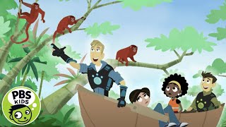 Wild Kratts  Amazon Animals  PBS KIDS [upl. by Naitsirc]