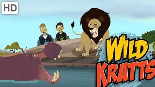 Wild Kratts  Top African Wildlife [upl. by Phaidra556]