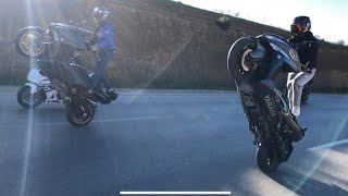 Tmax 530  Wheelie 2017 HD 🔥🔥 [upl. by Lydia]