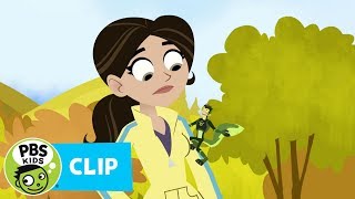 WILD KRATTS  Tracks  PBS KIDS [upl. by Thurber]