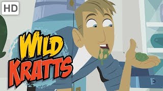 Wild Kratts 🧪 Cures in Nature [upl. by Latoya846]