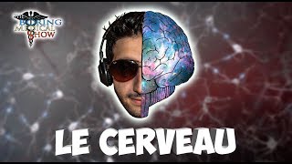 ANATOMIE  LE CERVEAU 🧠 [upl. by Jillayne285]