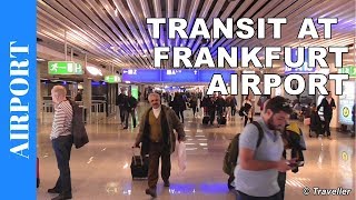 TRANSIT WALK AT FRANKFURT Airport FRA Terminal 1  Connection Flight Transfer Arriving amp Departing [upl. by Nawrocki]